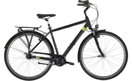 Carver Cityzen 120 – 28 Zoll – Diamant – 2024