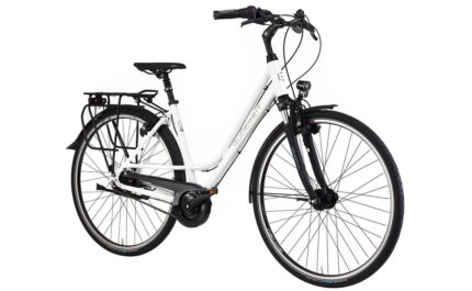 Gudereit Fantasy – 28 Zoll – Doppelrohr – 2023