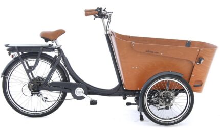 Babboe Carve-E – 450 Wh – 26 Zoll – Dreirad – 2024