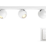 Philips hue Buckram inkl.Dimmschalter weiss Spot