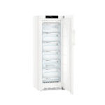 Liebherr GN 3735 BluPerformance Gefrierschrank weiss rechts