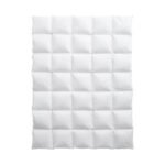 Billerbeck Edition Hayo Medium 160x210cm Daunenduvet