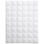 Billerbeck Edition Hayo Medium 200x210cm Daunenduvet
