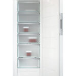 Miele FN 4844 C Gefrierschrank Weiss rechts