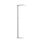 Contini LED Büro-Stehleuchte Morelux Silber